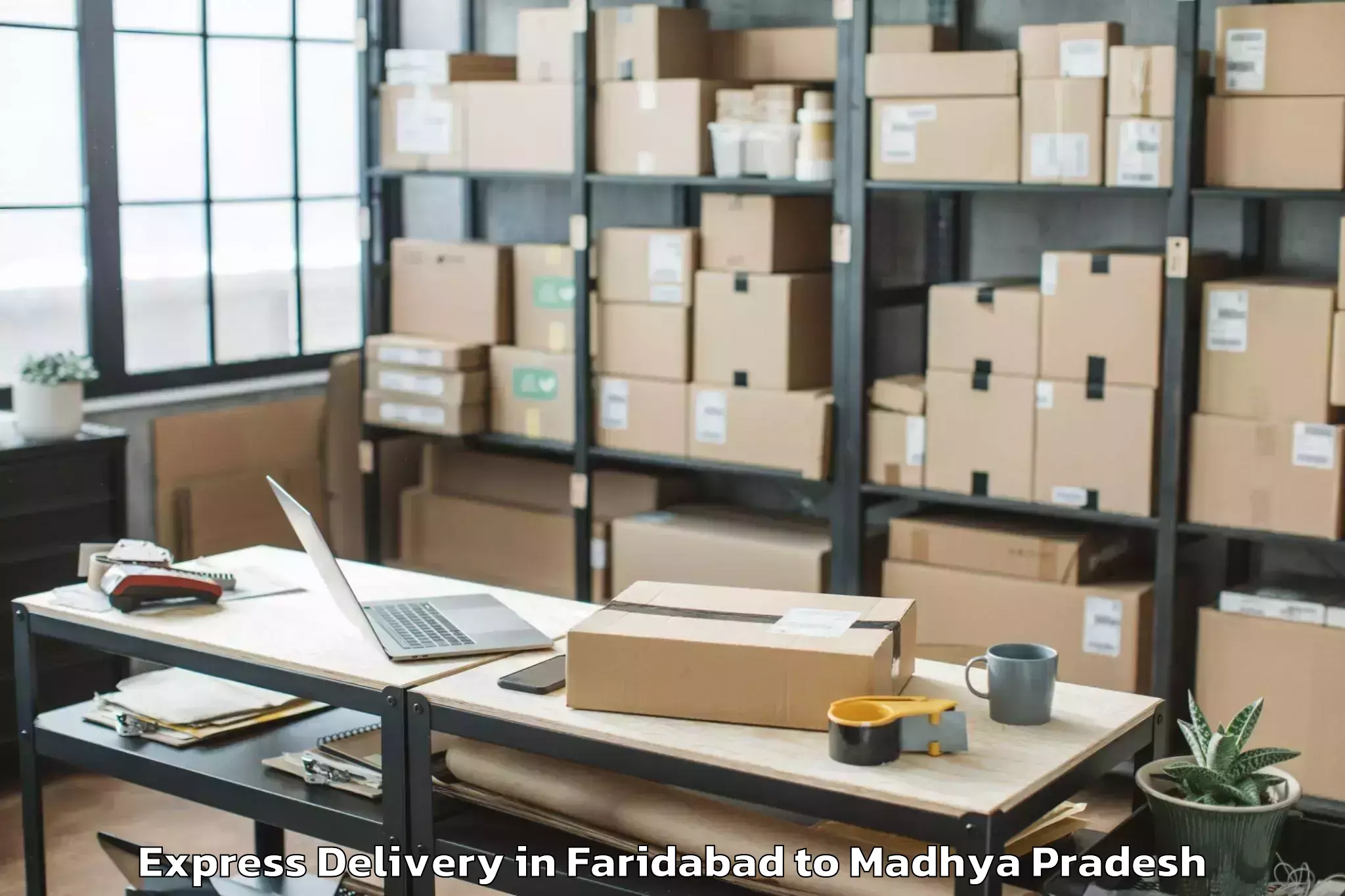 Top Faridabad to Shujalpur Express Delivery Available